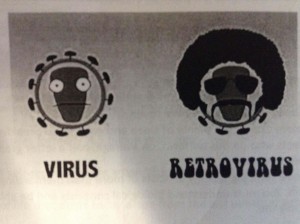 retrovirus